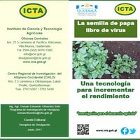 Semilla certificada de papa, virus, síntomas